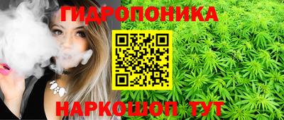 молекула духа Гагарин