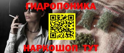 молекула духа Гагарин
